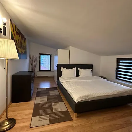 Conta Apartment Craiova