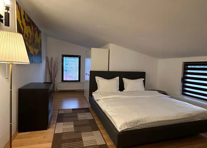 Conta Apartment Craiova